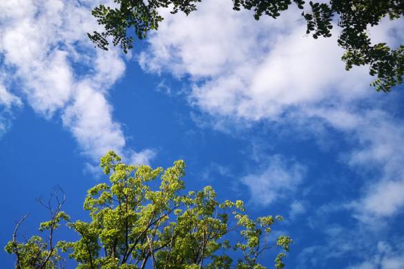 硬核科技塑造纺织产业未来，第十二届“中国十大纺织科技”成果巡礼