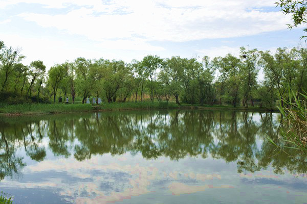 卓郎倍捻机伺服改造，助力纺纱产业升级
