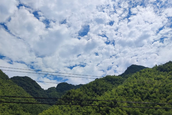 产业探访录｜中产协赴江苏南通走访产业用纺织品企业