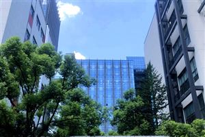 热点关注 | 聚焦时尚主业 老牌服装巨头破茧成蝶