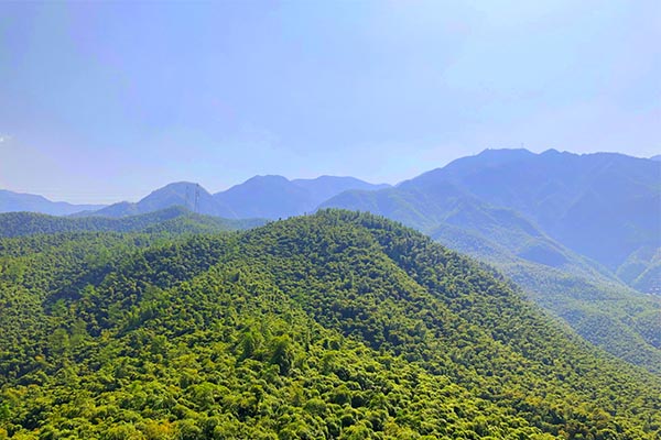 数据快报 | 6月纺织品服装出口恢复增长